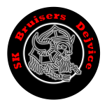 SK Bruisers Dejvice
