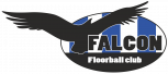 Floorball Club FALCON B